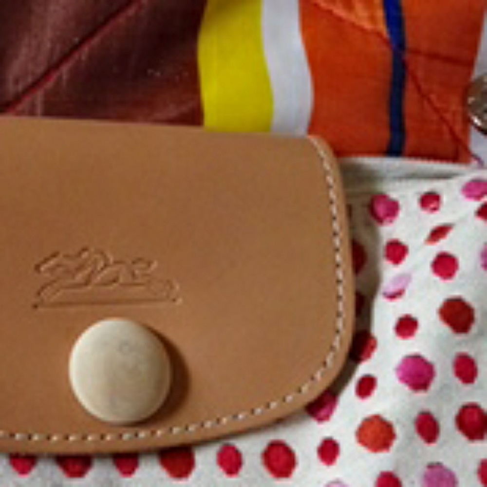 Sm LONGCHAMP bag